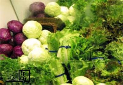 امکان‌سنجی -طرح توجیهی فنی اقتصادی- احداث گلخانه محصولات سبزیجات